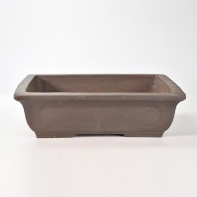 CD896 少年サンデーR 1995年8月20日号特別増刊 高橋留美子 少年